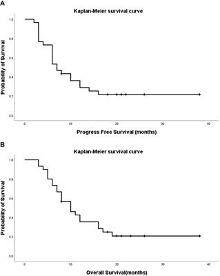 Bronchial artery chemoembolization in the treatment of refractory central lung cancer with atelectasis